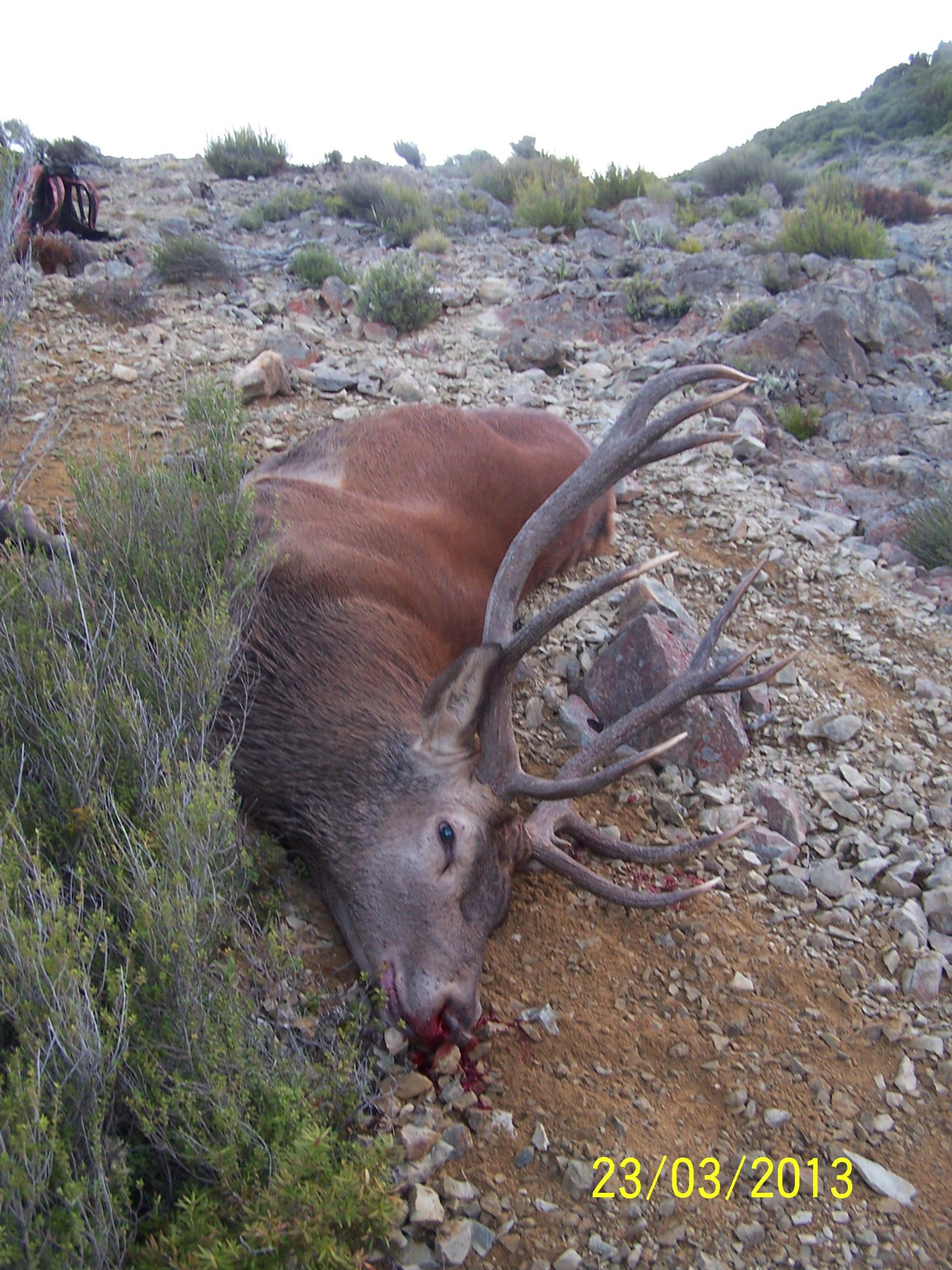 Name:  100_6481.jpg
Views: 889
Size:  548.5 KB