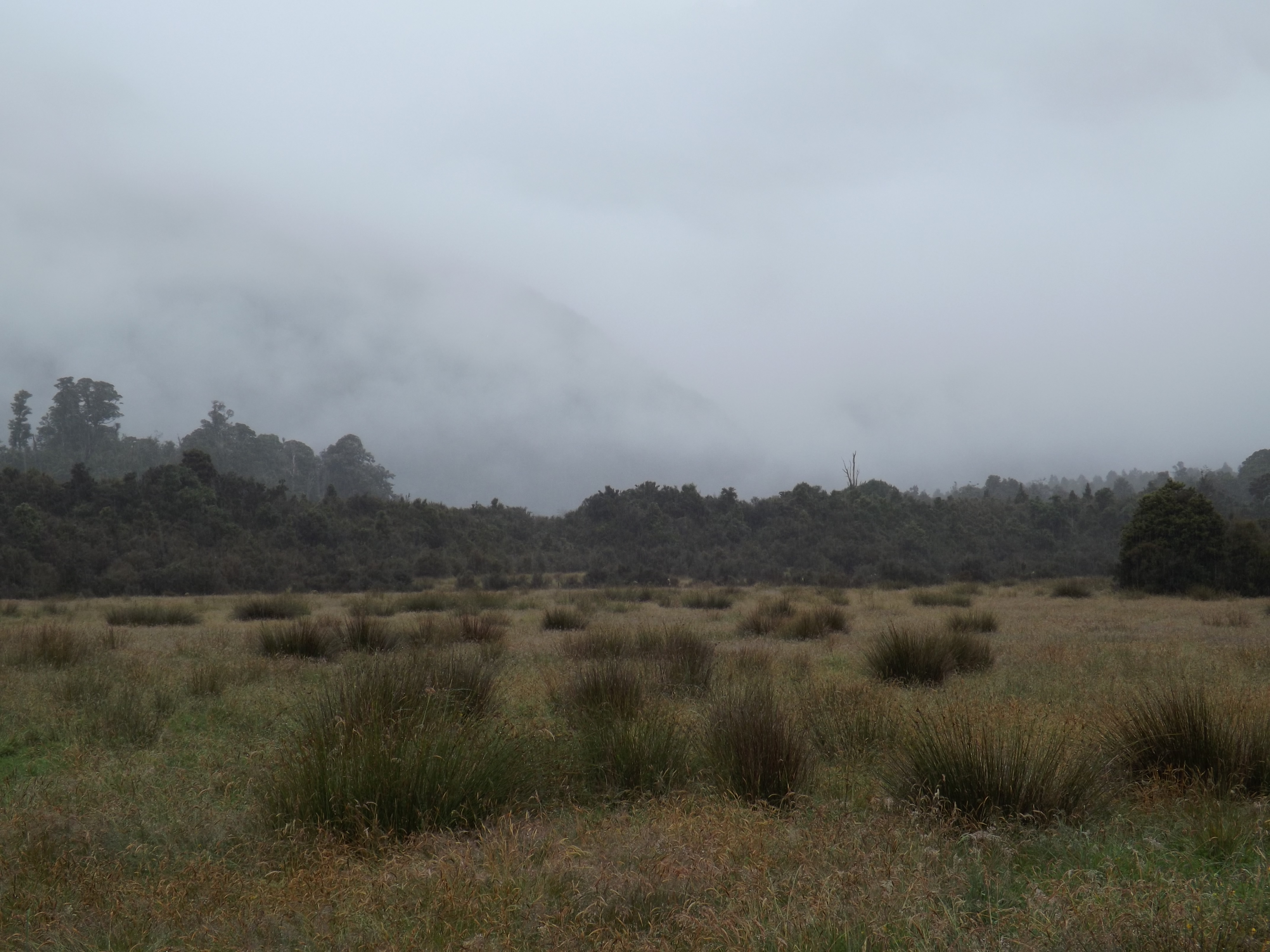 Name:  DSCF8464.JPG
Views: 641
Size:  4.32 MB