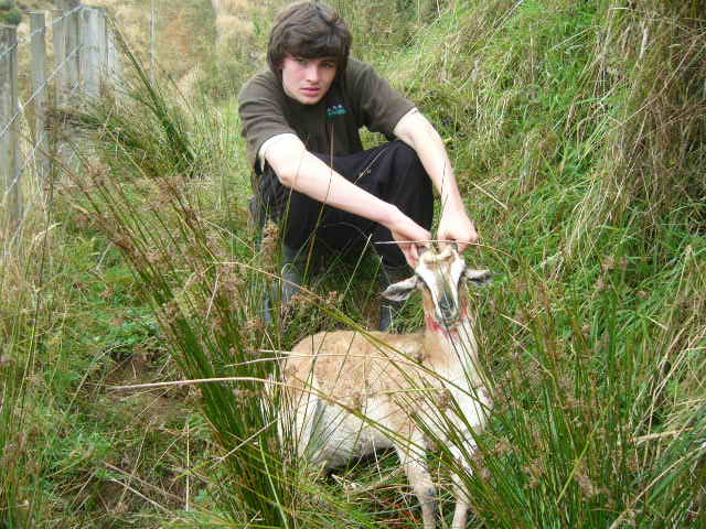 Name:  Picture 001.jpg
Views: 1564
Size:  64.2 KB