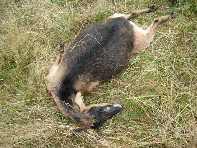 Name:  Picture 002.jpg
Views: 1237
Size:  64.9 KB