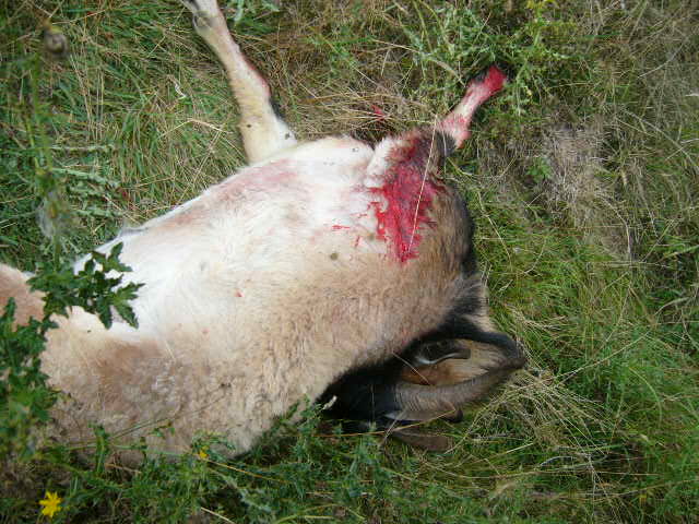 Name:  Picture 003.jpg
Views: 704
Size:  62.4 KB