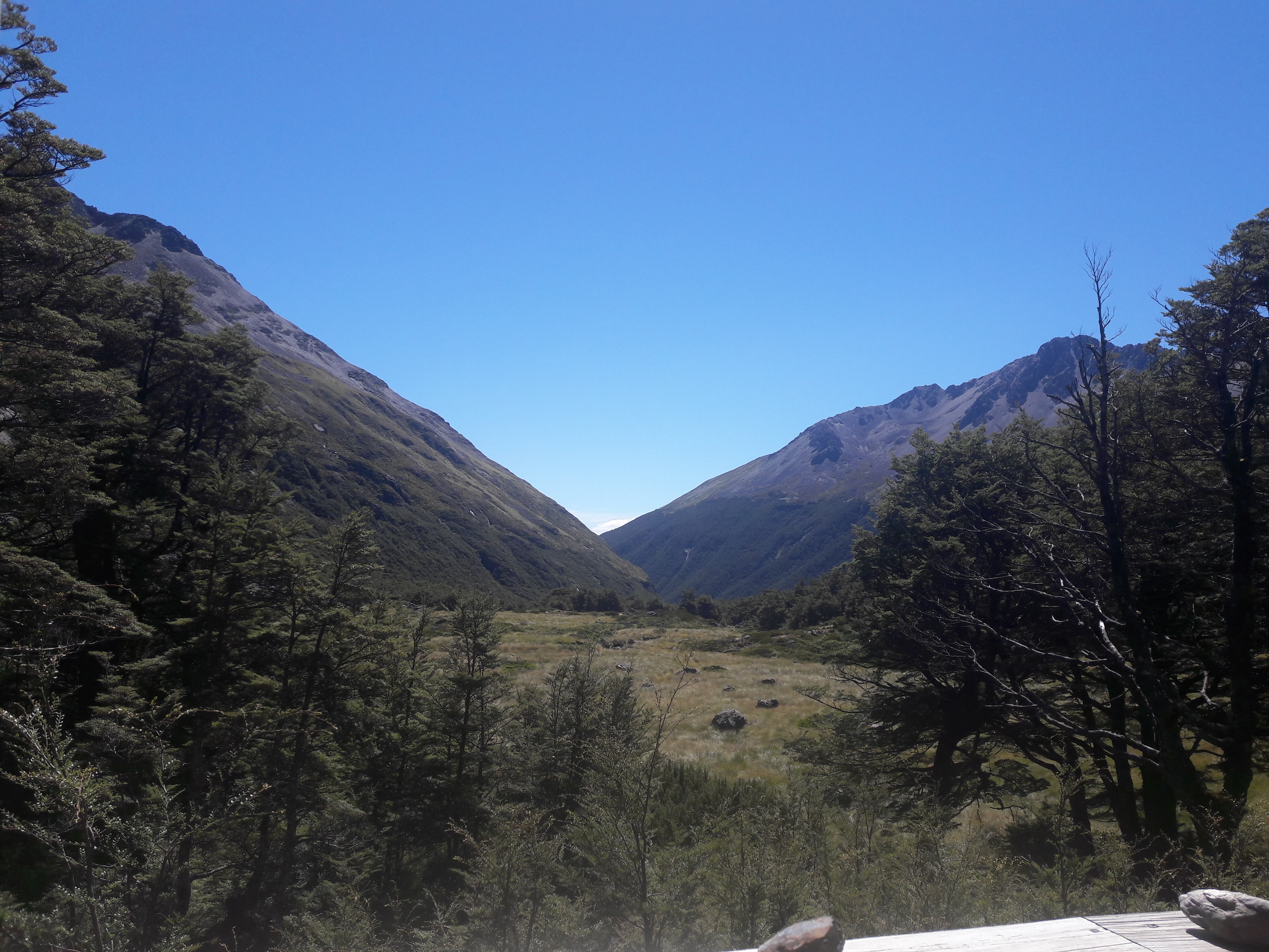 Name:  20180218_124304.jpg
Views: 1116
Size:  4.90 MB