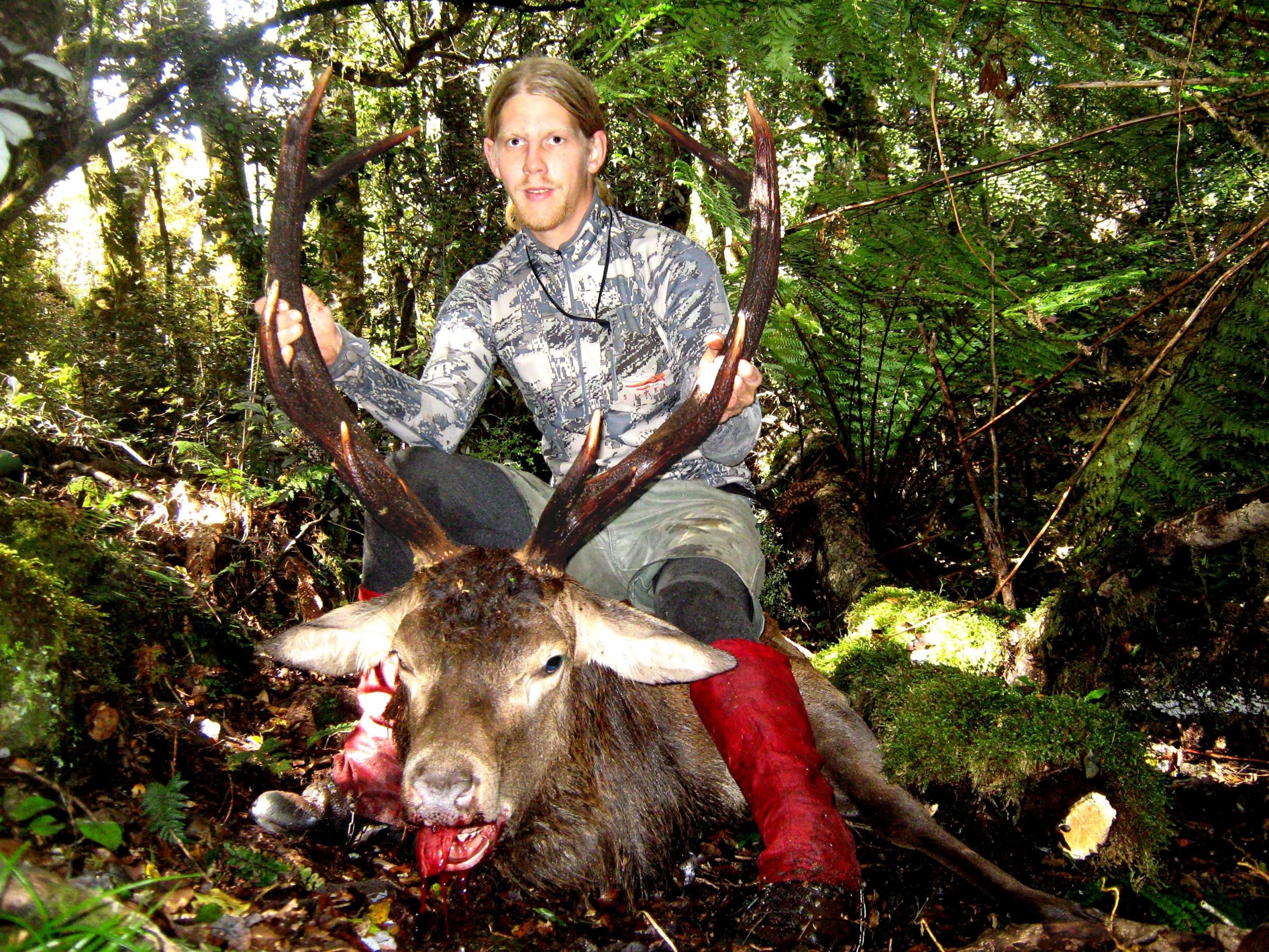 Name:  Stag edit.jpg
Views: 1238
Size:  1.04 MB