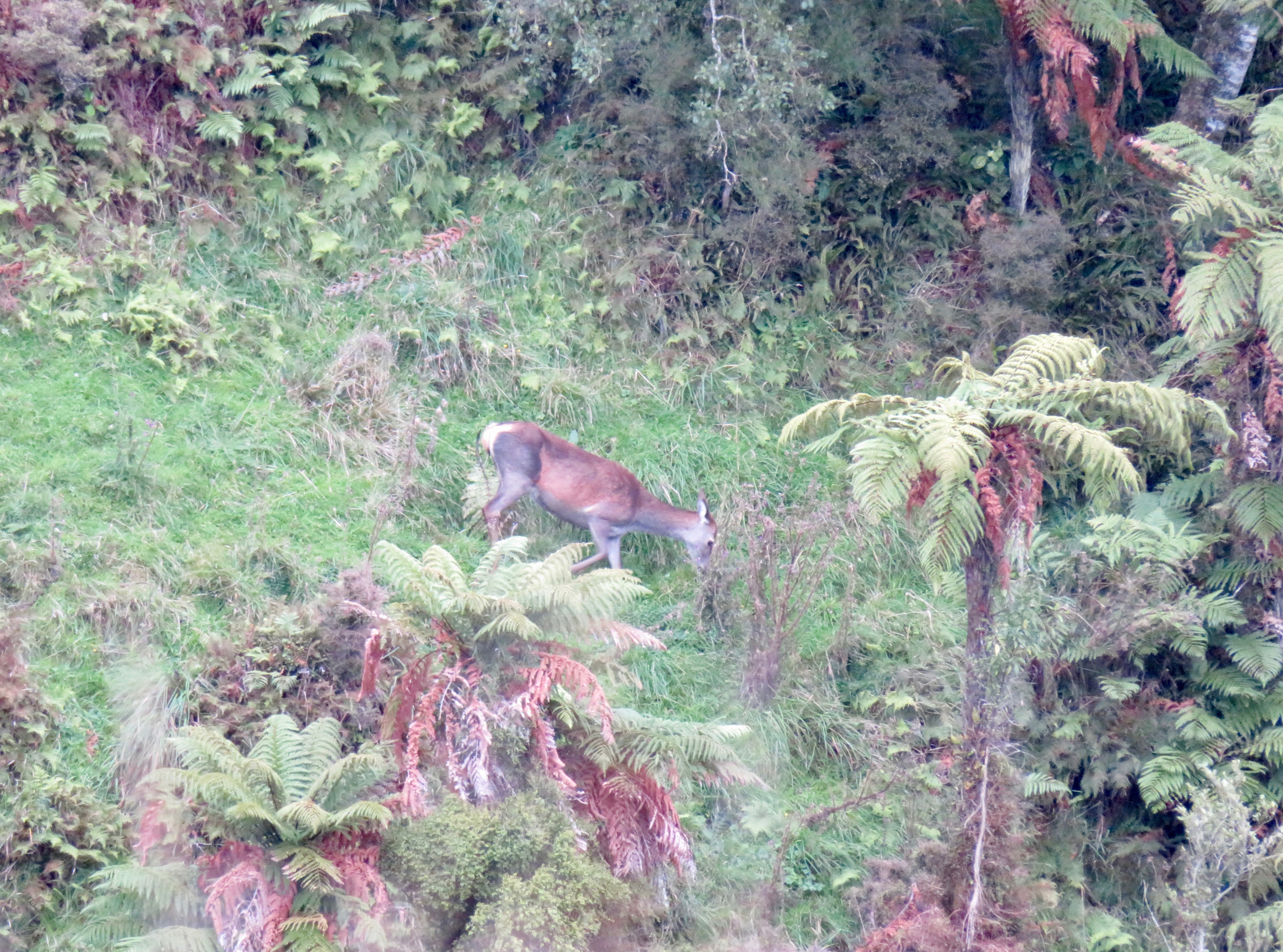 Name:  IMG_0301.jpg
Views: 1052
Size:  5.43 MB