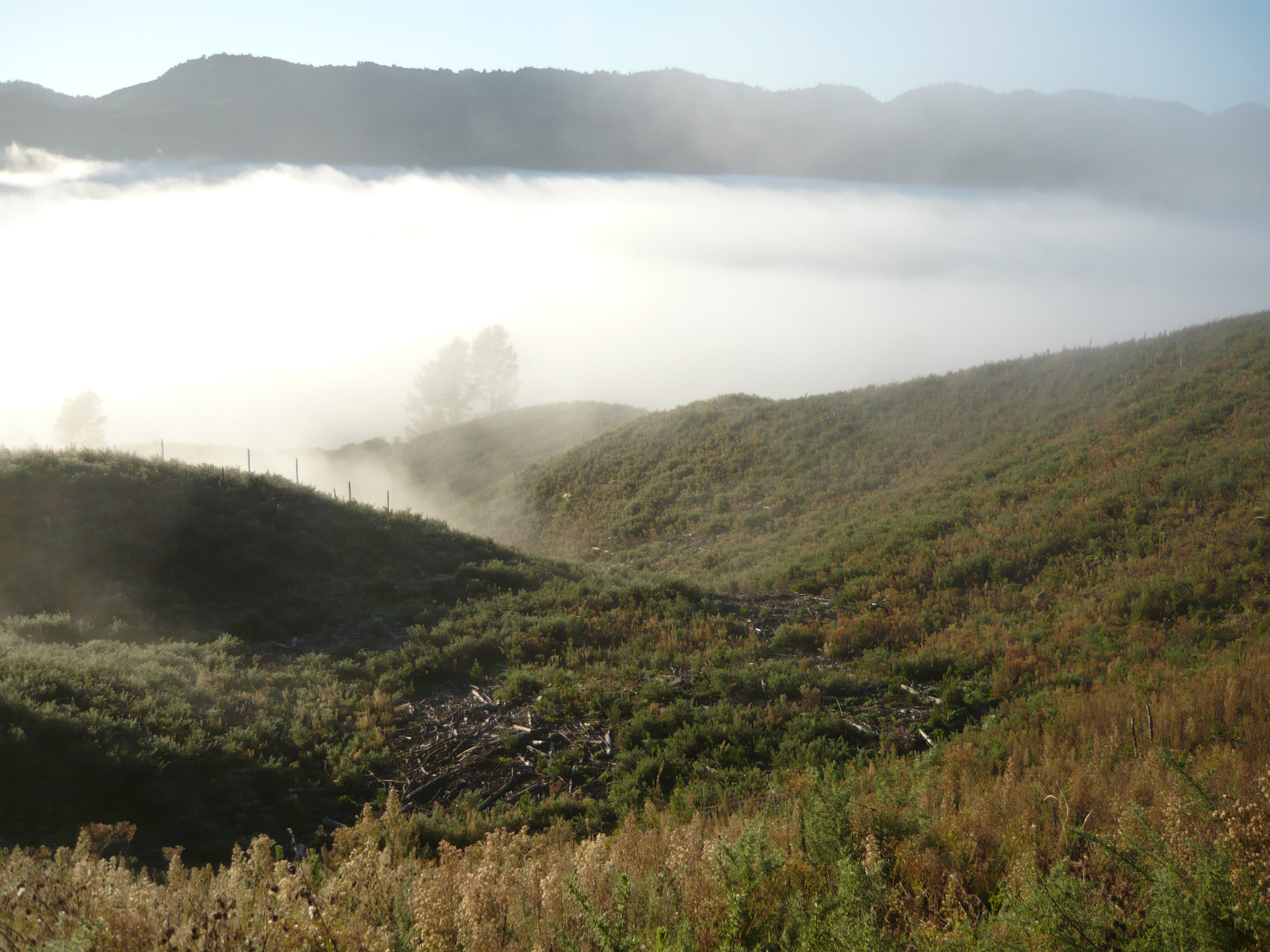 Name:  Morning mist starting to clear 2018.JPG
Views: 561
Size:  3.53 MB