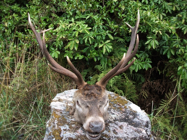 Name:  RT 13 e (640x480).jpg
Views: 601
Size:  401.2 KB