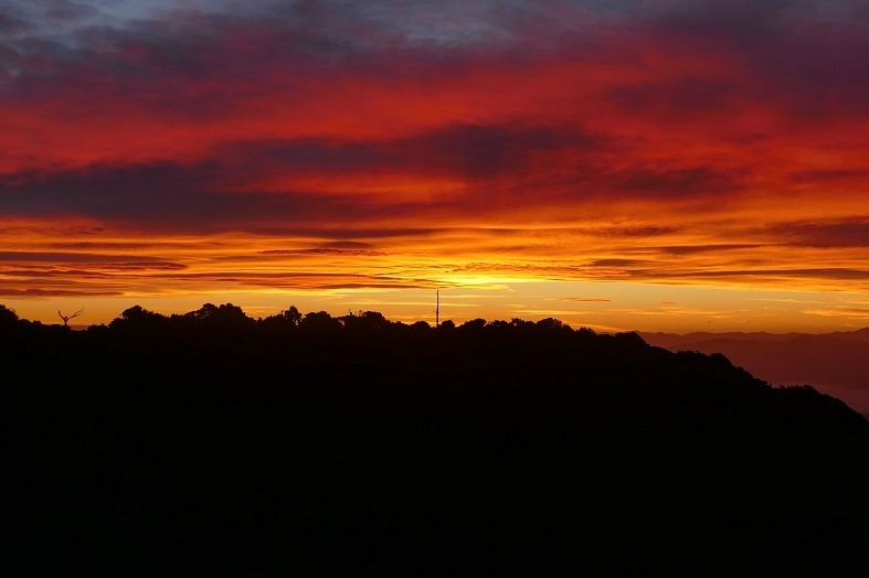 Name:  P1020203 - Copy LR.jpg
Views: 1399
Size:  97.2 KB