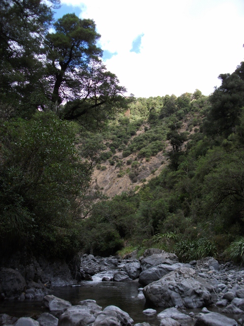 Name:  RT 13 a (480x640).jpg
Views: 562
Size:  307.3 KB