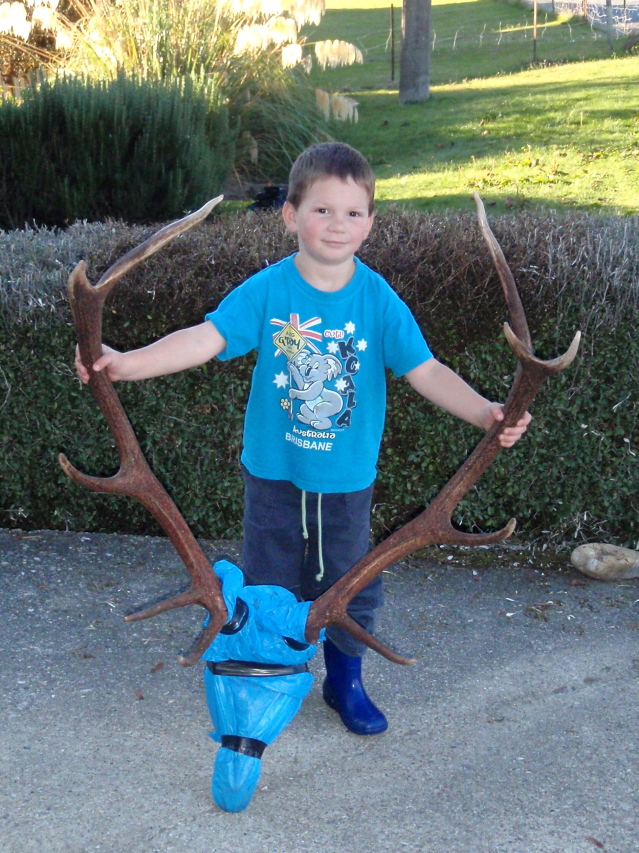Name:  little man and stag.jpg
Views: 878
Size:  390.9 KB
