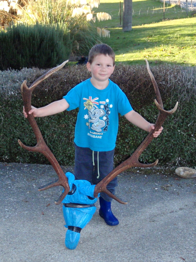 Name:  little man and stag.jpg
Views: 910
Size:  390.9 KB
