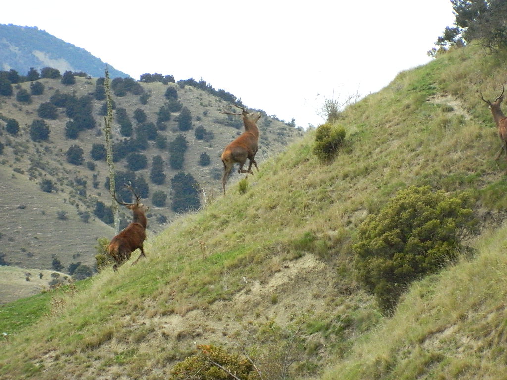Name:  DSCN3117.JPG
Views: 1048
Size:  236.5 KB