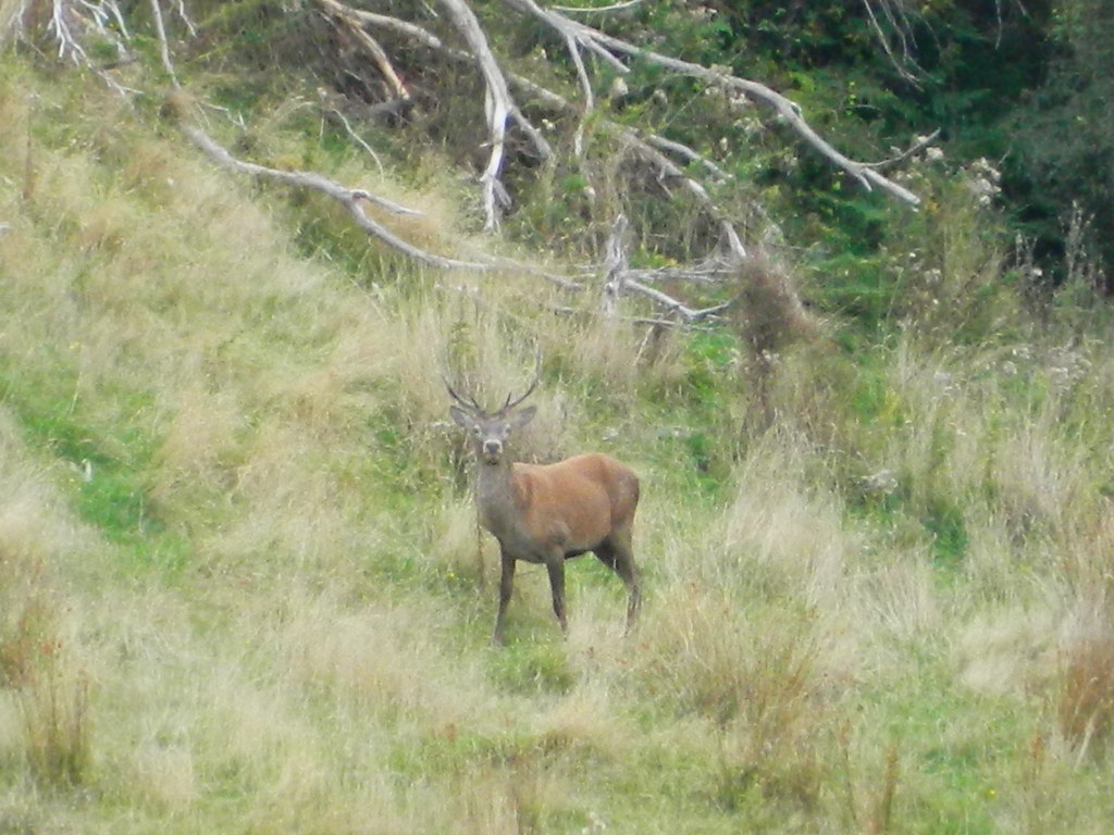 Name:  DSCN3127.JPG
Views: 1082
Size:  240.5 KB