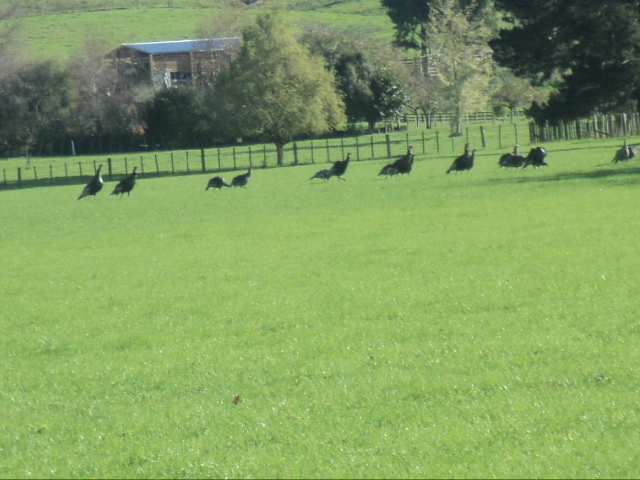Name:  picture 01 832.jpg
Views: 630
Size:  164.6 KB