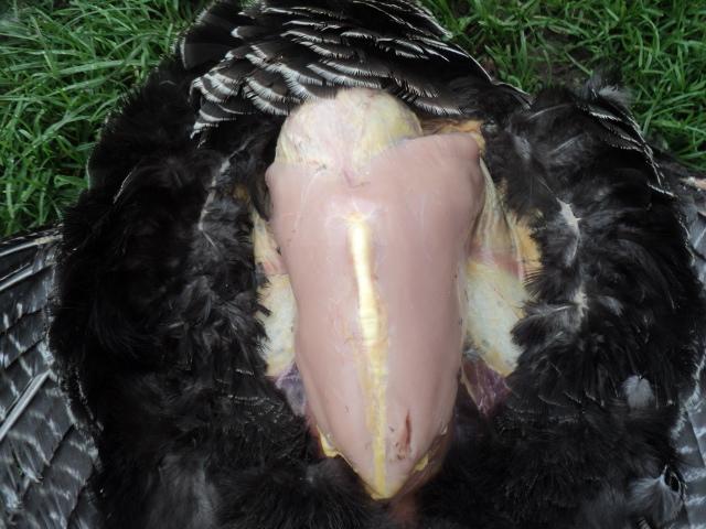 Name:  picture 01 835.jpg
Views: 417
Size:  164.5 KB
