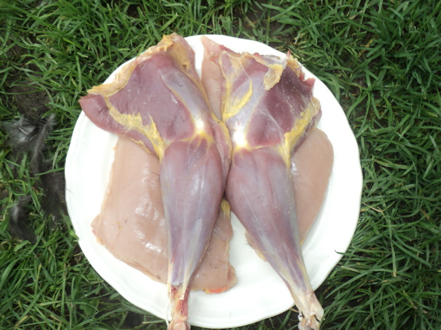 Name:  picture 01 839.jpg
Views: 446
Size:  164.1 KB