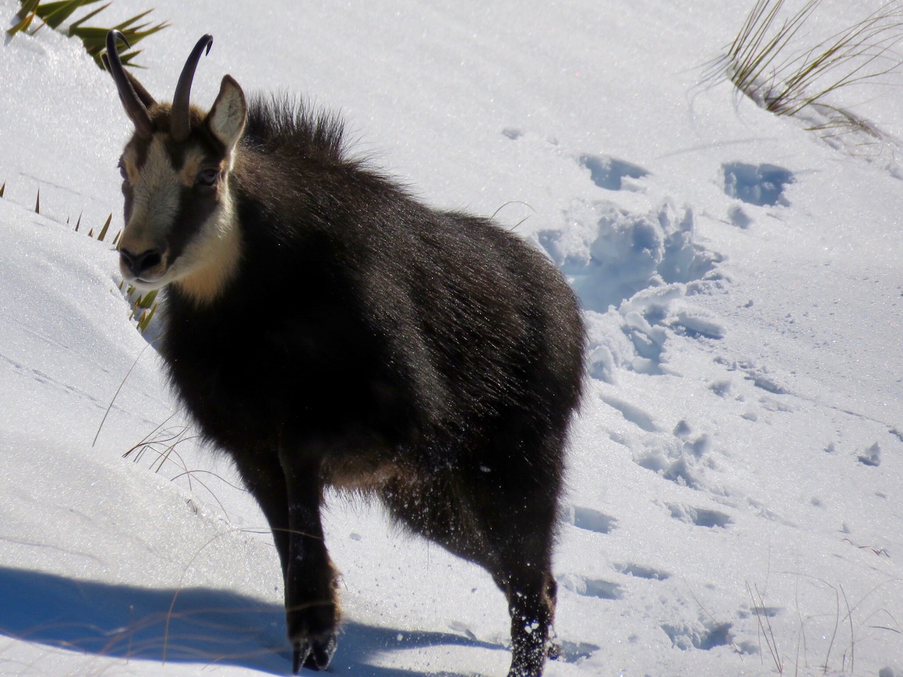Name:  26741664_Unknown.jpg
Views: 674
Size:  312.2 KB