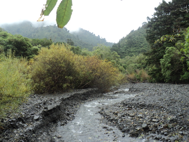 Name:  picture 01 876.jpg
Views: 521
Size:  163.3 KB