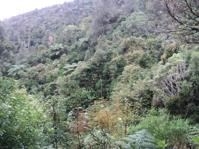 Name:  picture 01 877.jpg
Views: 544
Size:  165.3 KB