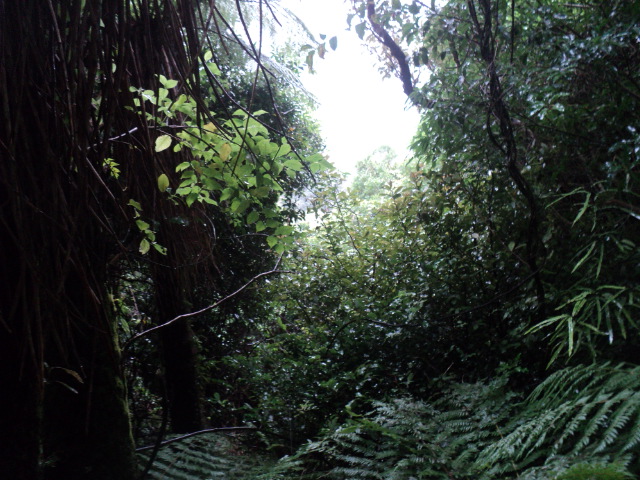 Name:  picture 01 878.jpg
Views: 561
Size:  165.3 KB