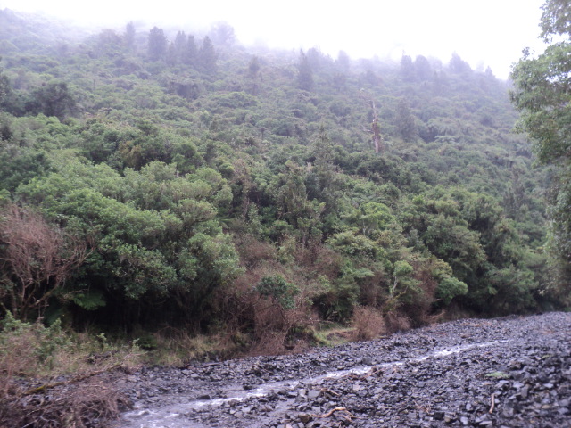 Name:  picture 01 879.jpg
Views: 534
Size:  165.0 KB