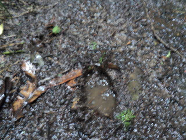 Name:  picture 01 880.jpg
Views: 527
Size:  164.8 KB