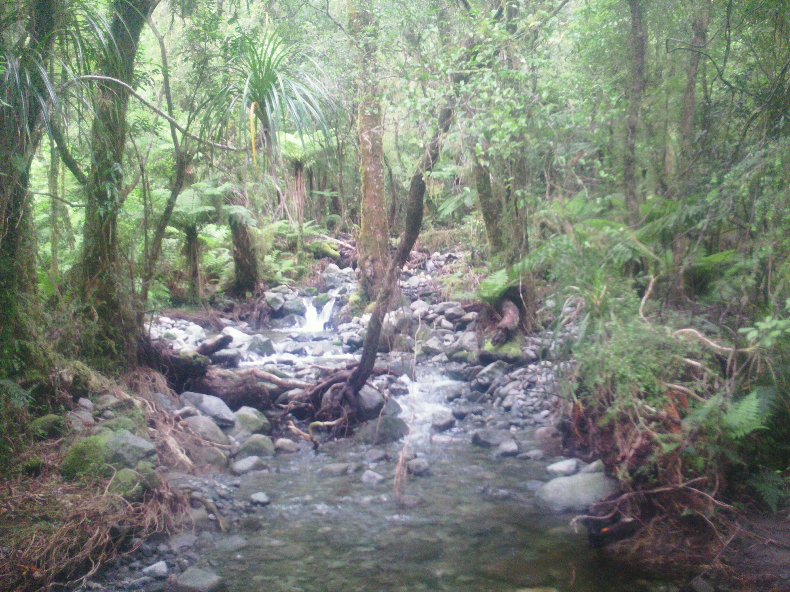 Name:  Roar 2013 105.jpg
Views: 530
Size:  869.0 KB