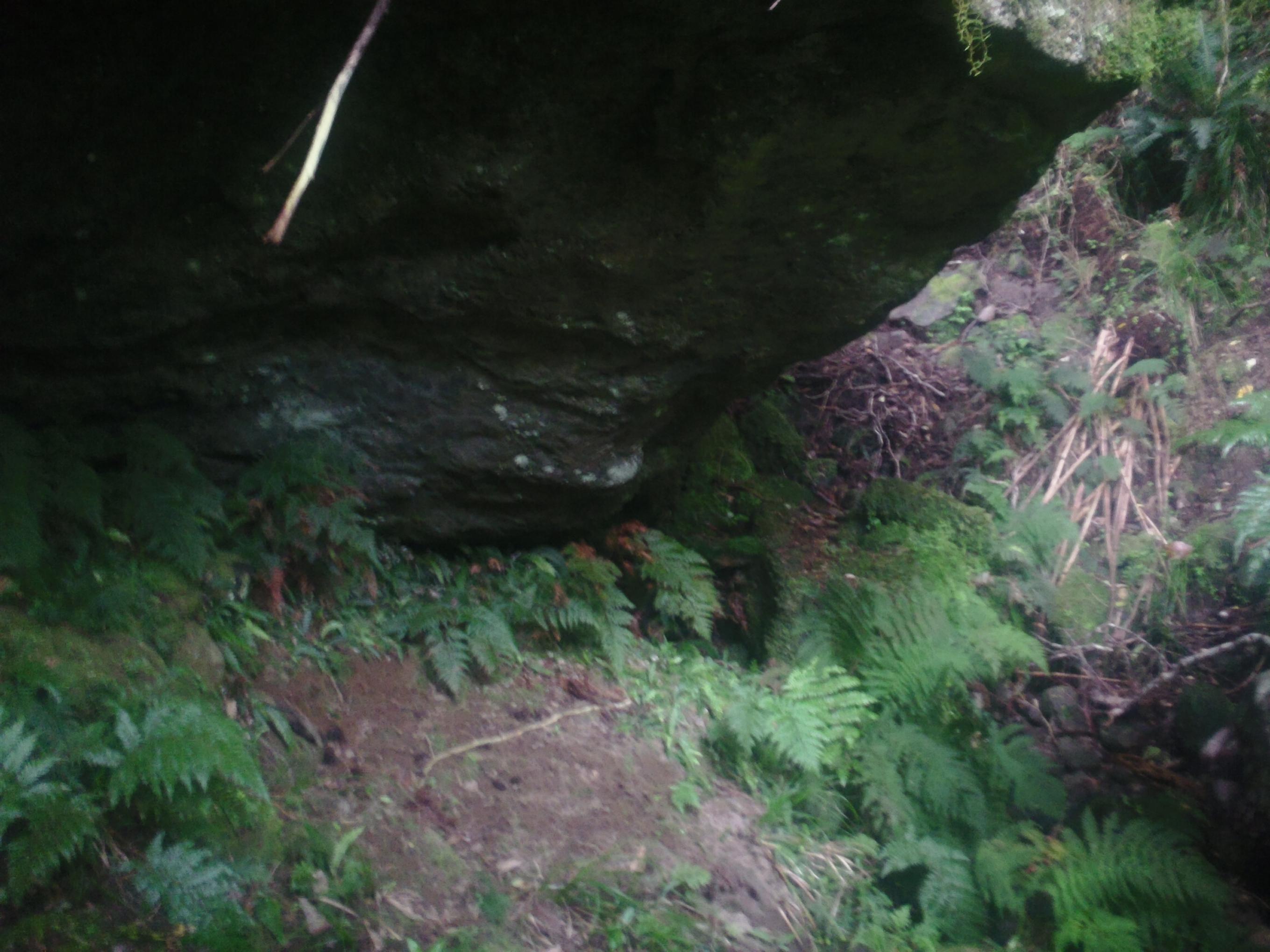 Name:  Roar 2013 098.jpg
Views: 397
Size:  437.9 KB