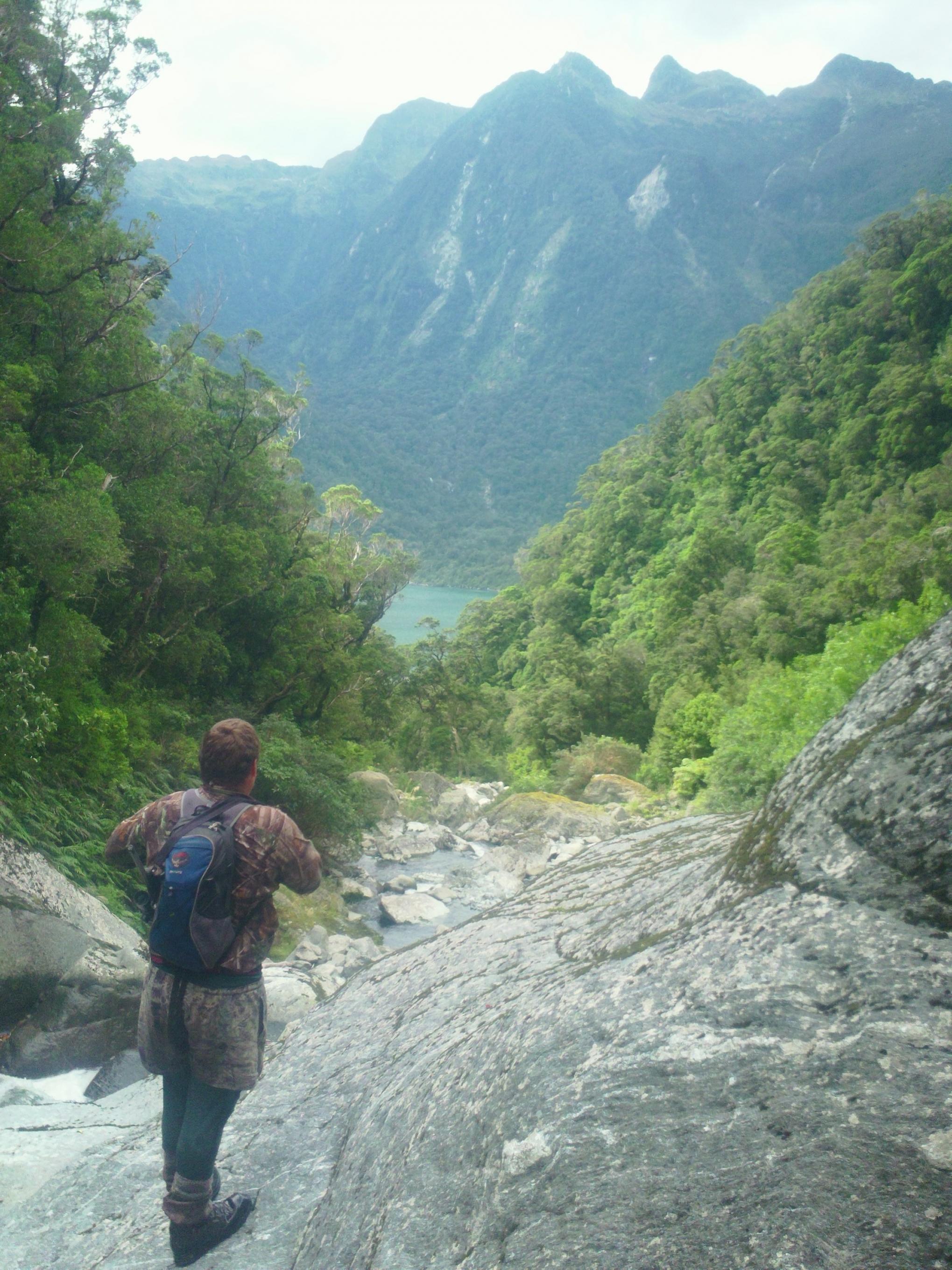 Name:  Roar 2013 058.jpg
Views: 500
Size:  687.3 KB