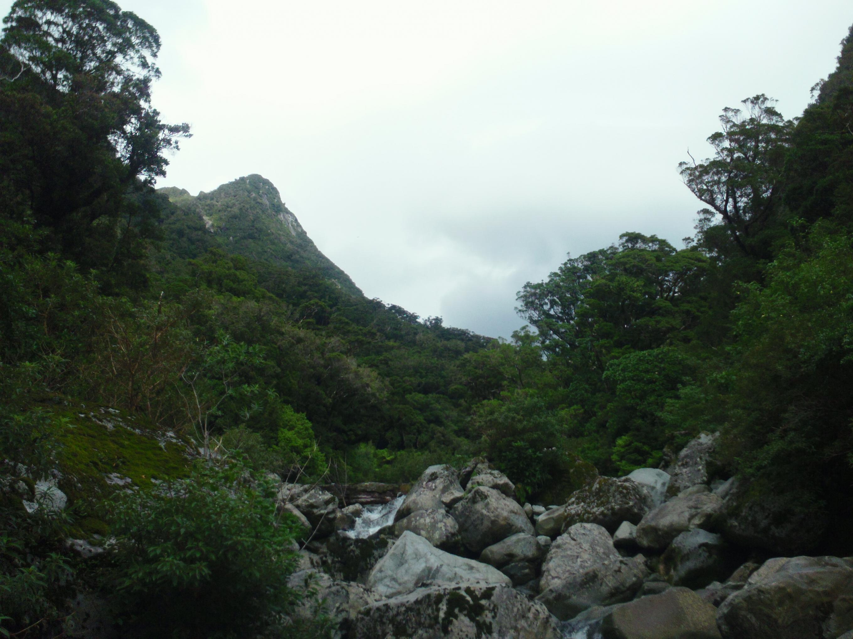 Name:  Roar 2013 054.jpg
Views: 445
Size:  487.5 KB