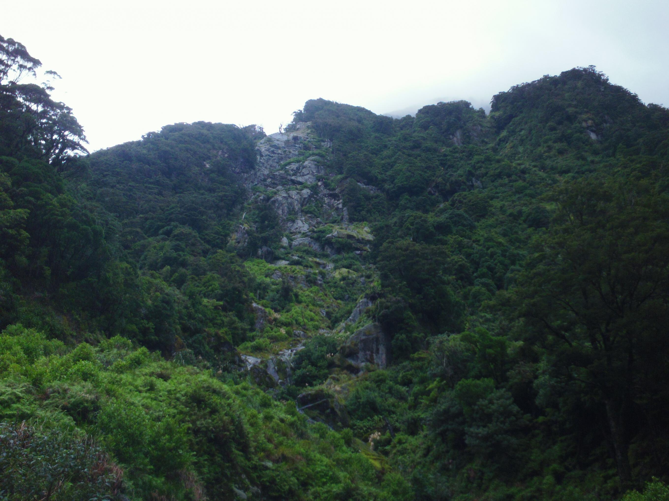 Name:  Roar 2013 034.jpg
Views: 336
Size:  495.1 KB