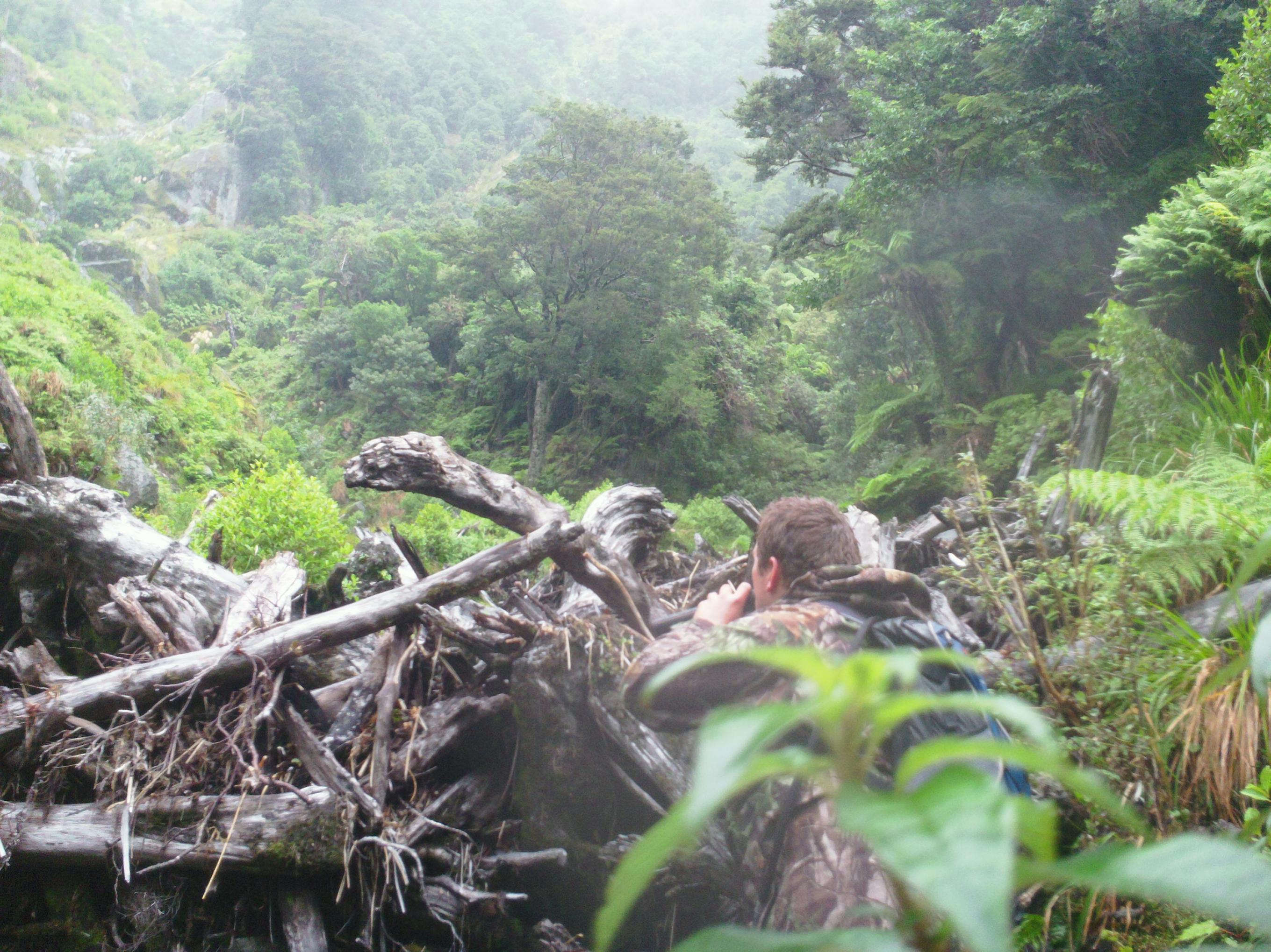 Name:  Roar 2013 032.jpg
Views: 355
Size:  737.1 KB