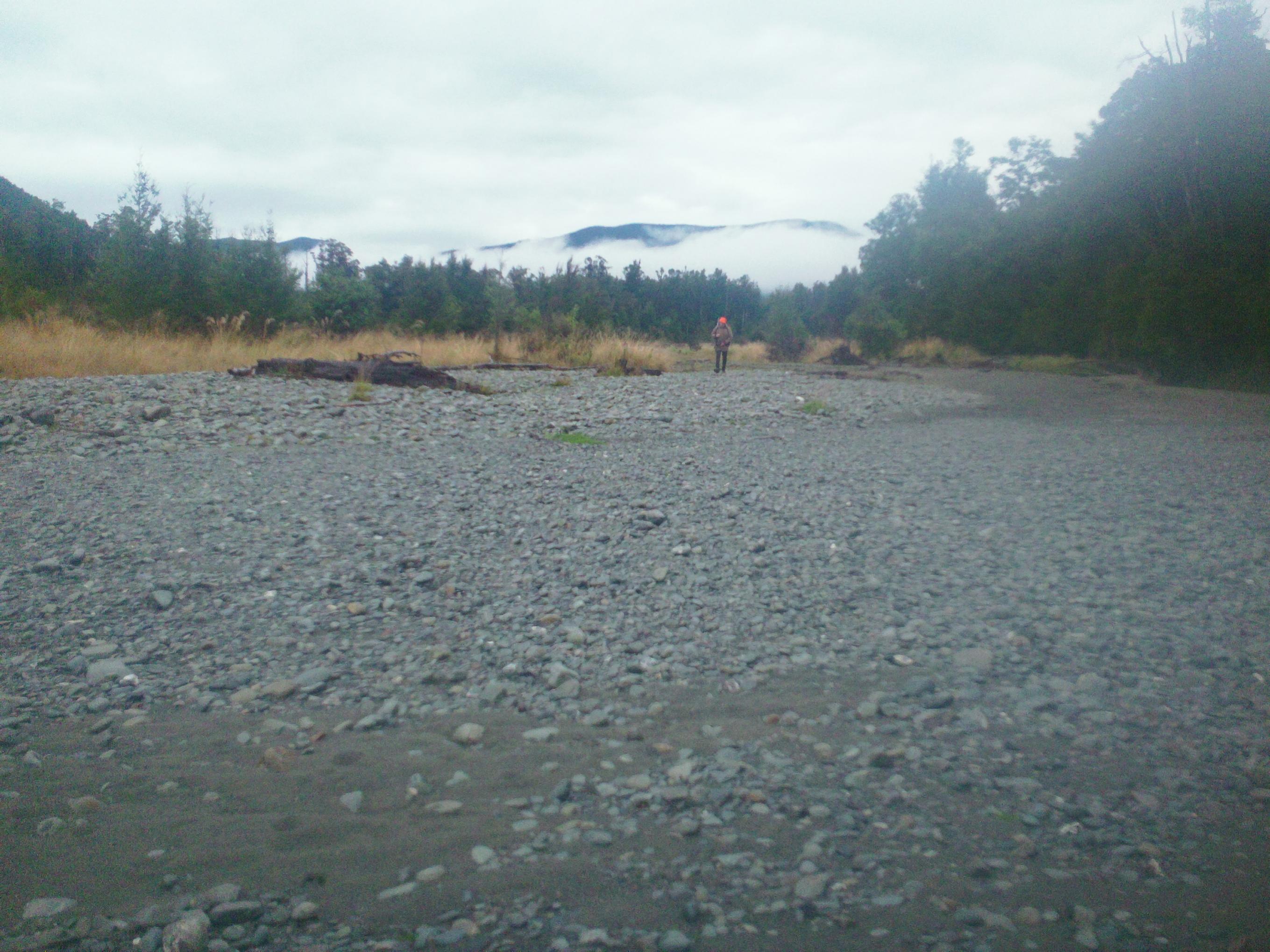 Name:  Roar 2013 129.jpg
Views: 410
Size:  614.4 KB