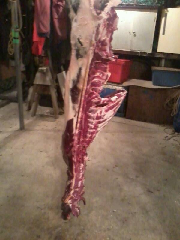 Name:  uploadfromtaptalk1367225965856.jpg
Views: 196
Size:  42.2 KB