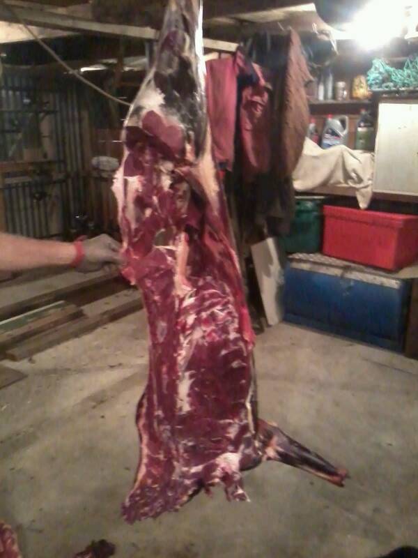 Name:  uploadfromtaptalk1367226031186.jpg
Views: 202
Size:  48.4 KB