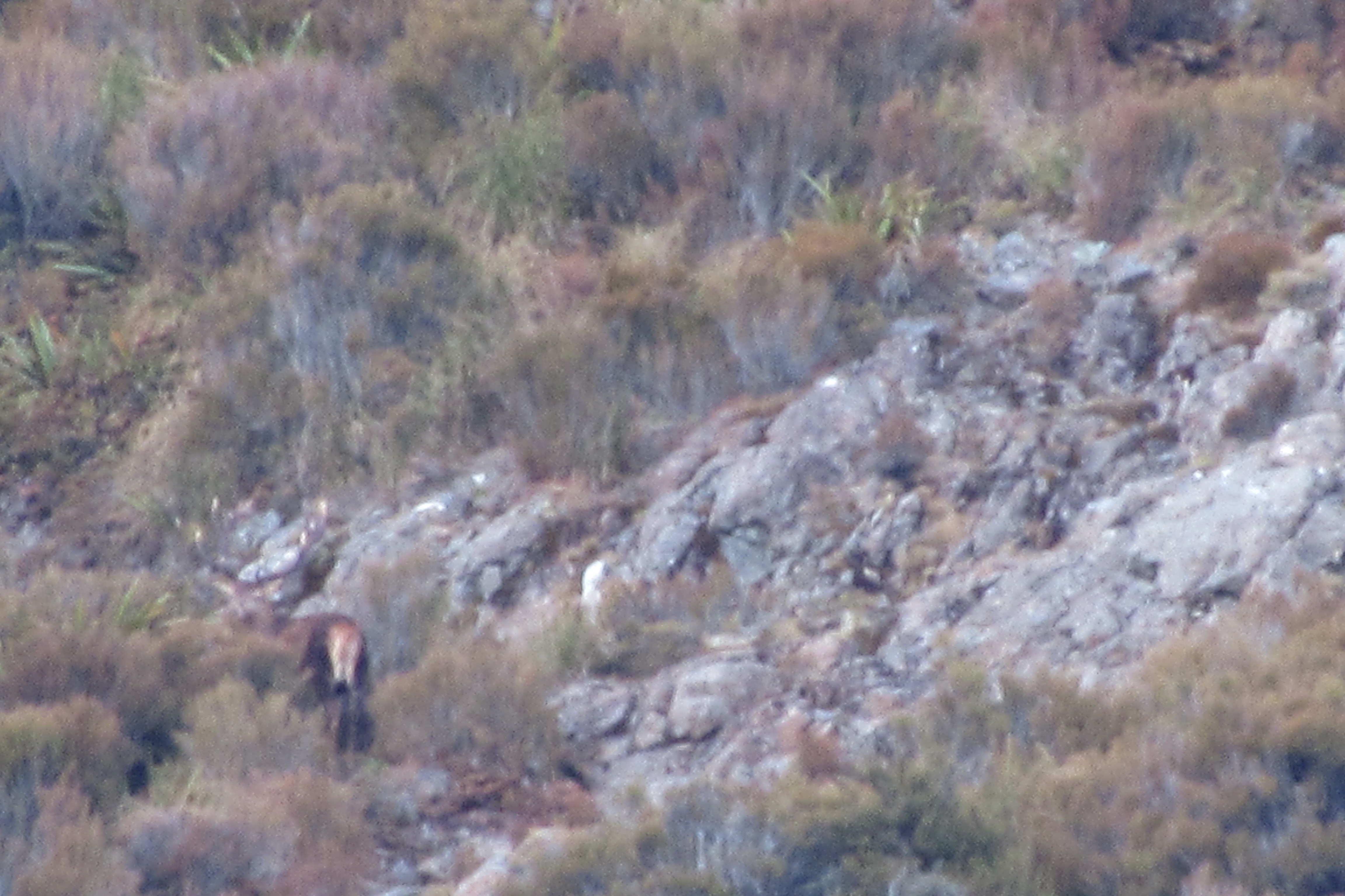 Name:  IMG_5528 (1).jpg
Views: 224
Size:  1.71 MB