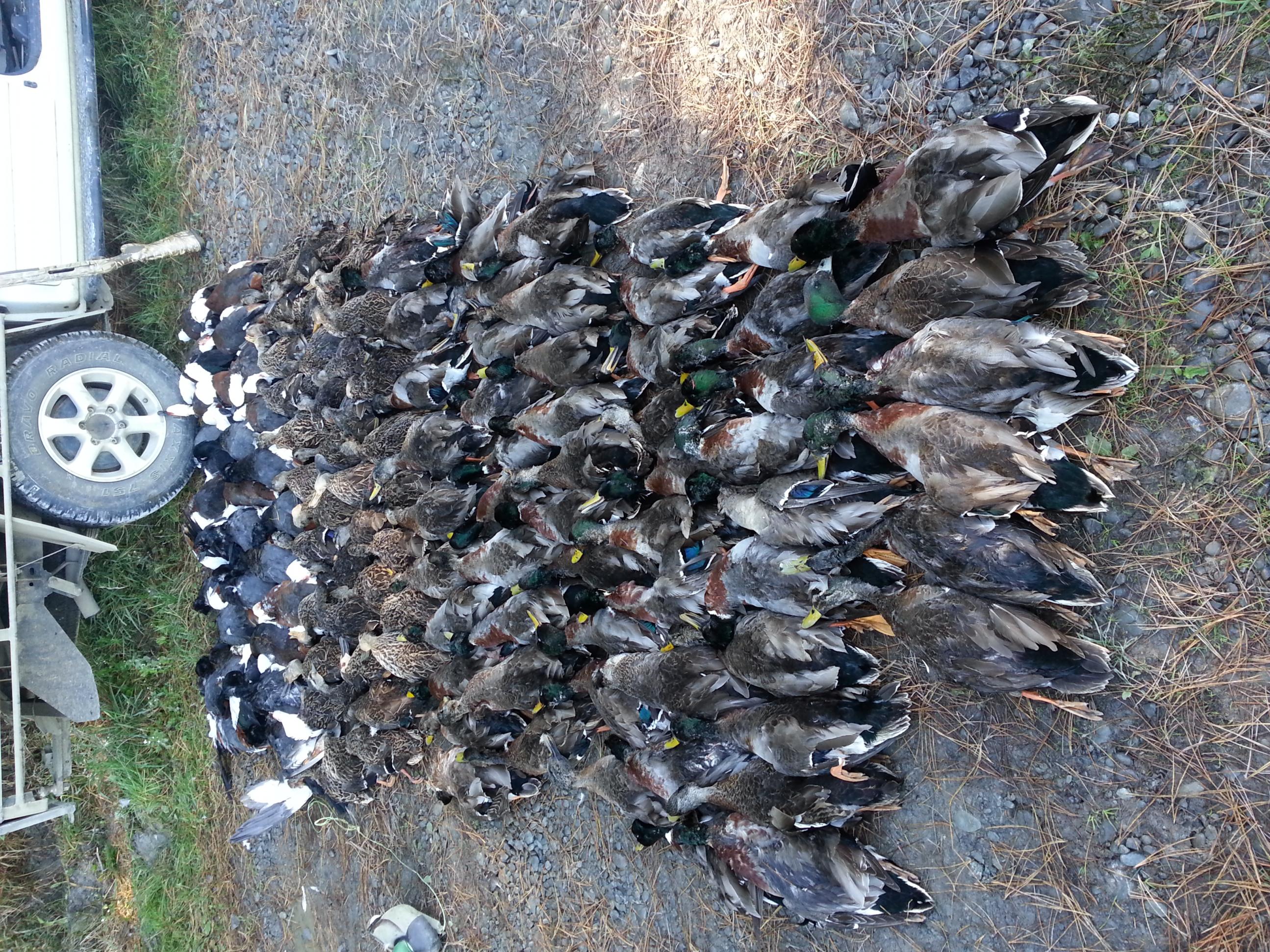 Name:  20130504_114114.jpg
Views: 674
Size:  1.08 MB