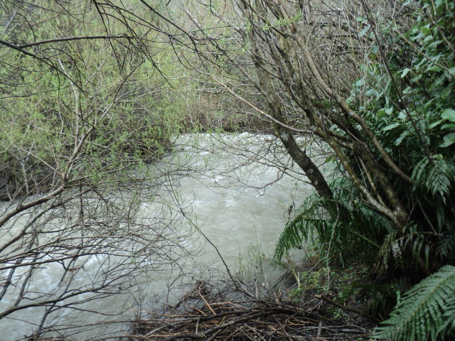 Name:  picture 01 1707.jpg
Views: 436
Size:  164.8 KB