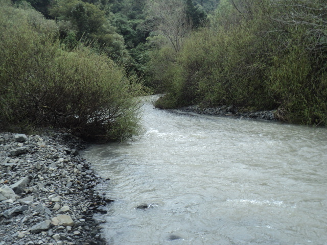 Name:  picture 01 1708.jpg
Views: 399
Size:  163.2 KB