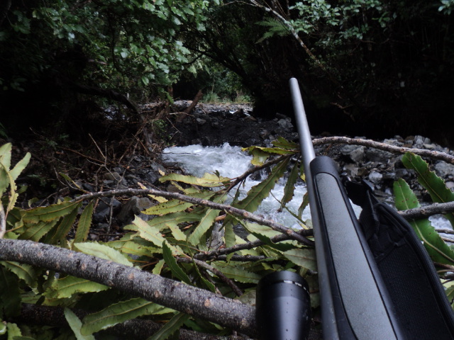 Name:  picture 01 1709.jpg
Views: 376
Size:  164.1 KB