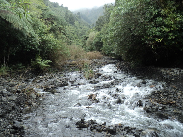 Name:  picture 01 1710.jpg
Views: 418
Size:  163.5 KB