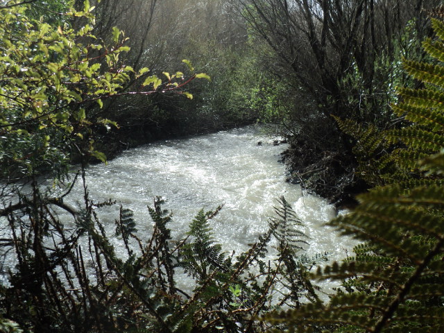 Name:  picture 01 1712.jpg
Views: 424
Size:  165.0 KB