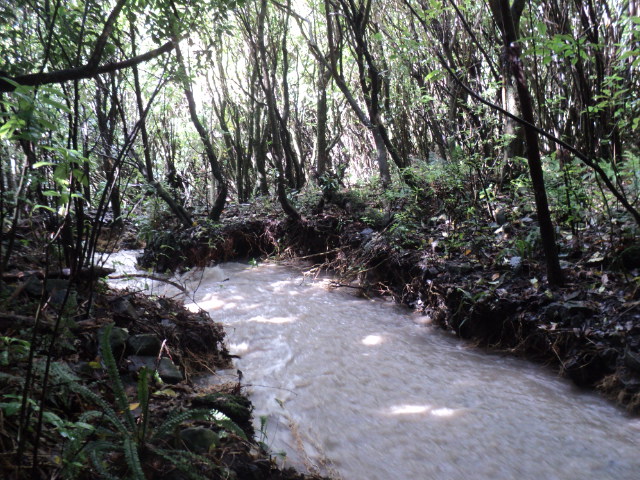 Name:  picture 01 1715.jpg
Views: 419
Size:  165.1 KB