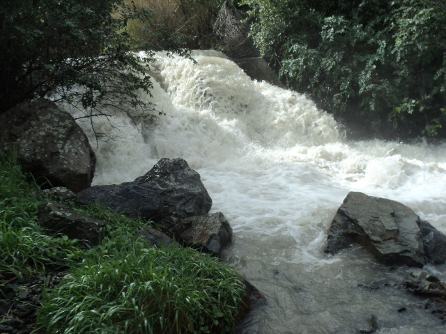 Name:  picture 01 1716.jpg
Views: 437
Size:  163.7 KB