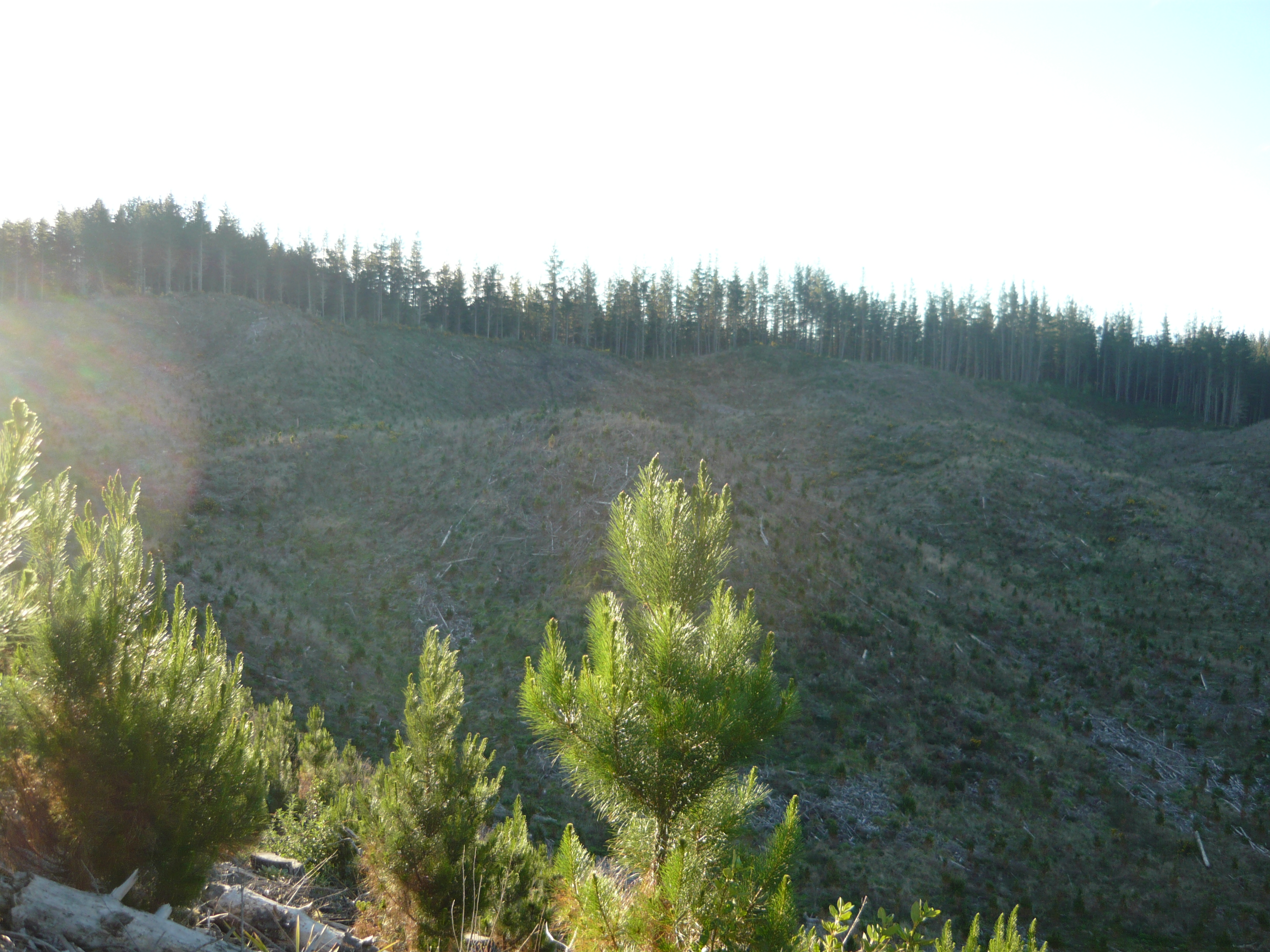 Name:  P1030110.JPG
Views: 510
Size:  3.41 MB