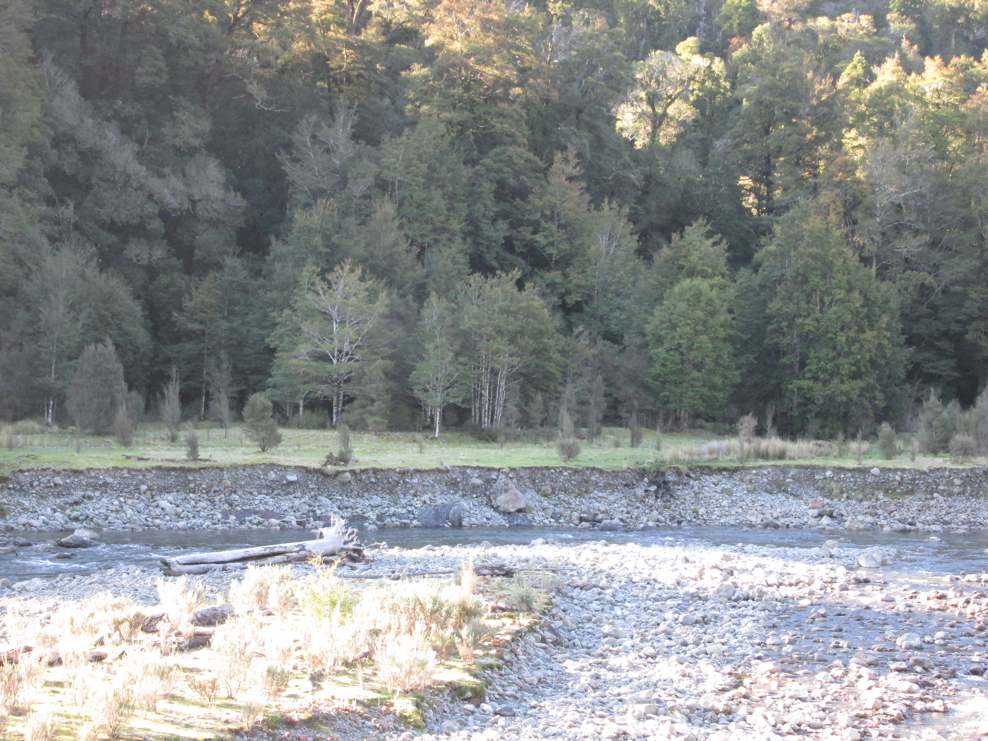 Name:  bush edge.JPG
Views: 1238
Size:  2.85 MB