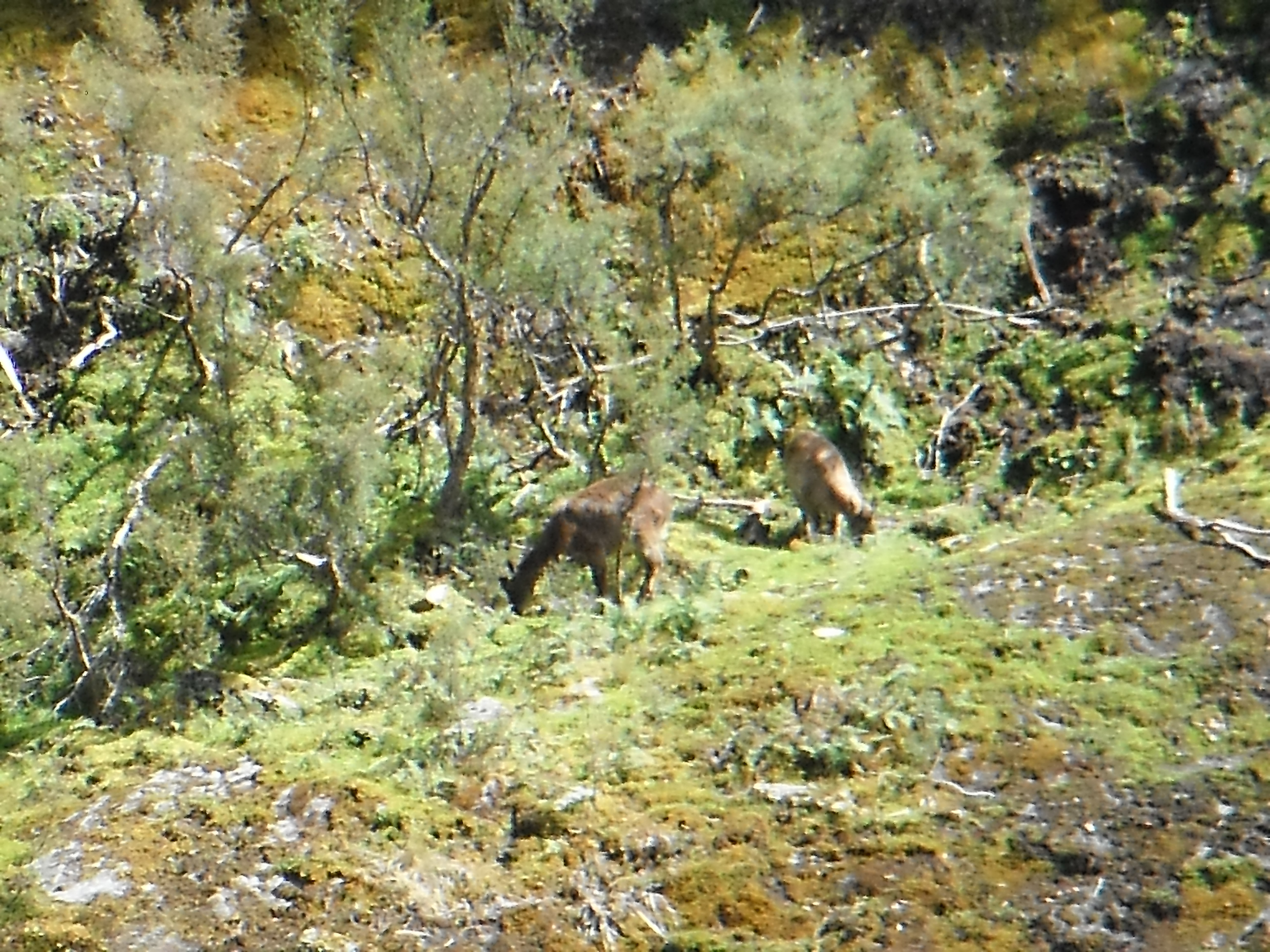 Name:  DSCF0392.JPG
Views: 761
Size:  5.75 MB