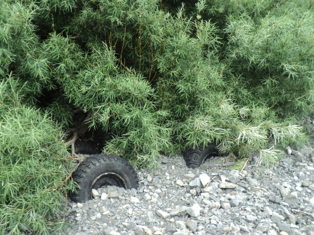 Name:  picture 01 2265.jpg
Views: 530
Size:  163.6 KB