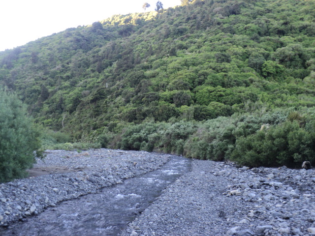 Name:  picture 01 2295.jpg
Views: 309
Size:  163.5 KB
