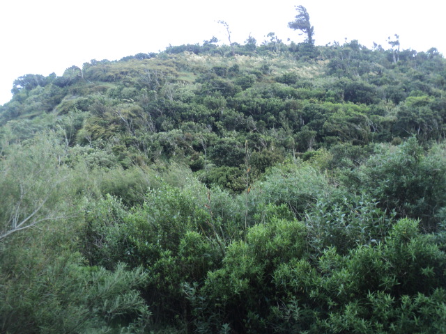 Name:  picture 01 2296.jpg
Views: 232
Size:  162.7 KB