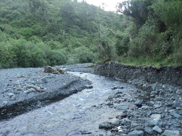 Name:  picture 01 2297.jpg
Views: 230
Size:  165.0 KB